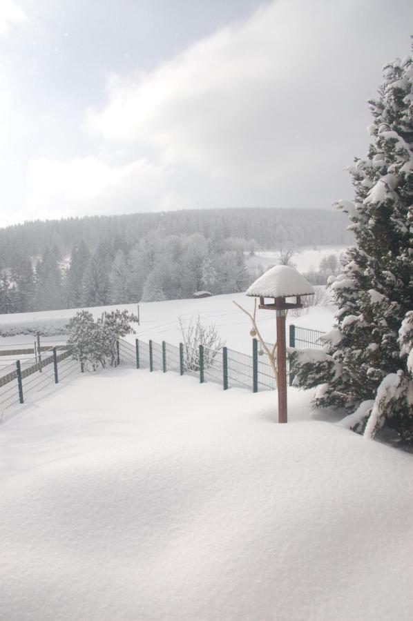 Ferienhaus Waldblick Siegmundsburg Zewnętrze zdjęcie