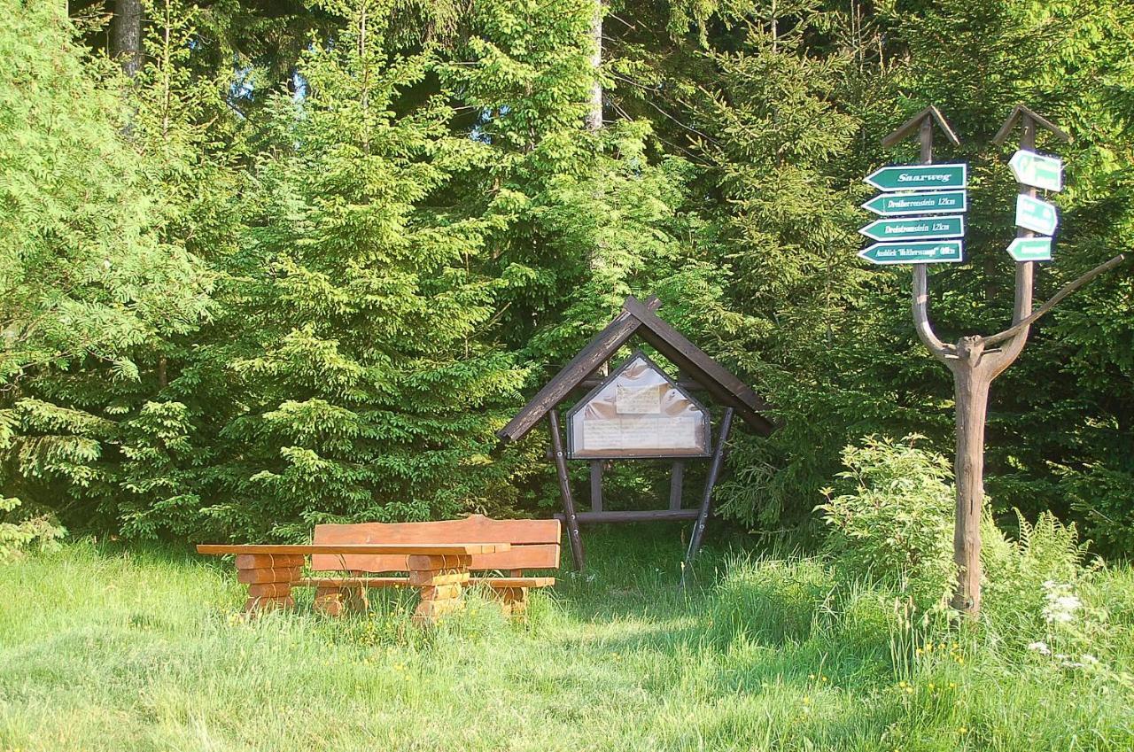 Ferienhaus Waldblick Siegmundsburg Zewnętrze zdjęcie